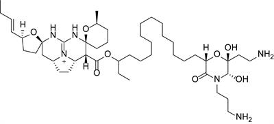 Monanchocidin A From Subarctic Sponges of the Genus Monanchora and Their Promising Selectivity Against Melanoma in vitro